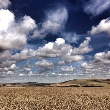 Lewes Clouds 65:132