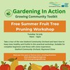 Summer fruit tree pruning - free workshop 
