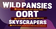 Wild Pansies  Oort  Skyscrapers