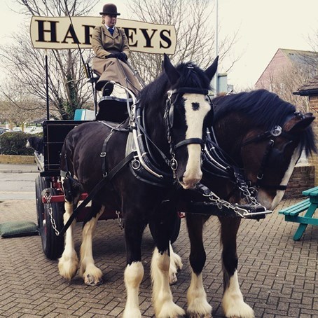 Harveys Dray