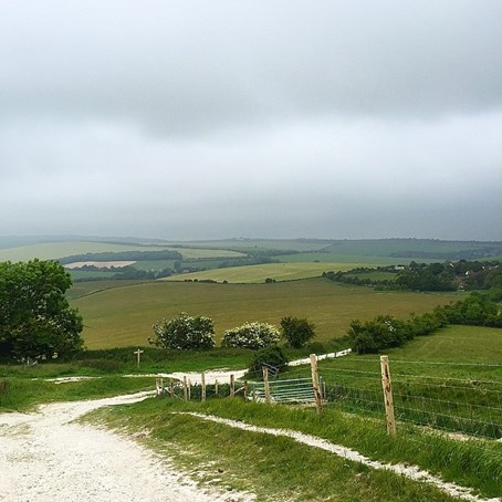 South Downs Way