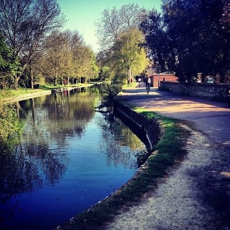 The Pells